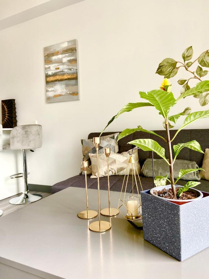 Comodo Y Elegante Apartamento En Fabuloso Condo! San Jose  Exterior photo