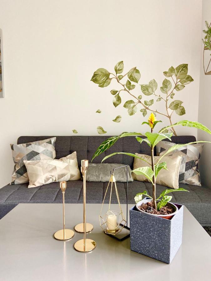 Comodo Y Elegante Apartamento En Fabuloso Condo! San Jose  Exterior photo